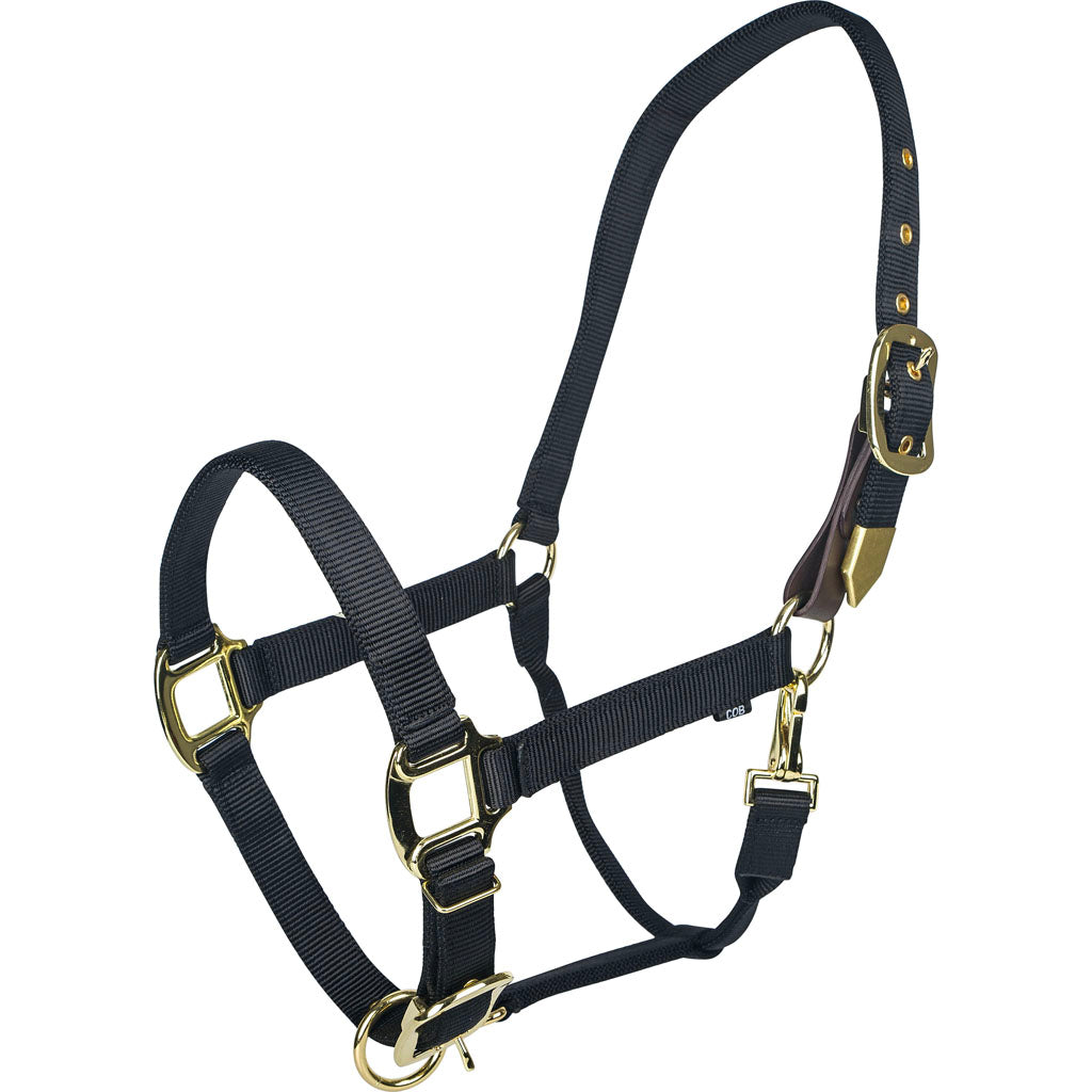 Gatsby Gold Adjustable Safety Breakaway Halter (BLACK, HORSE)