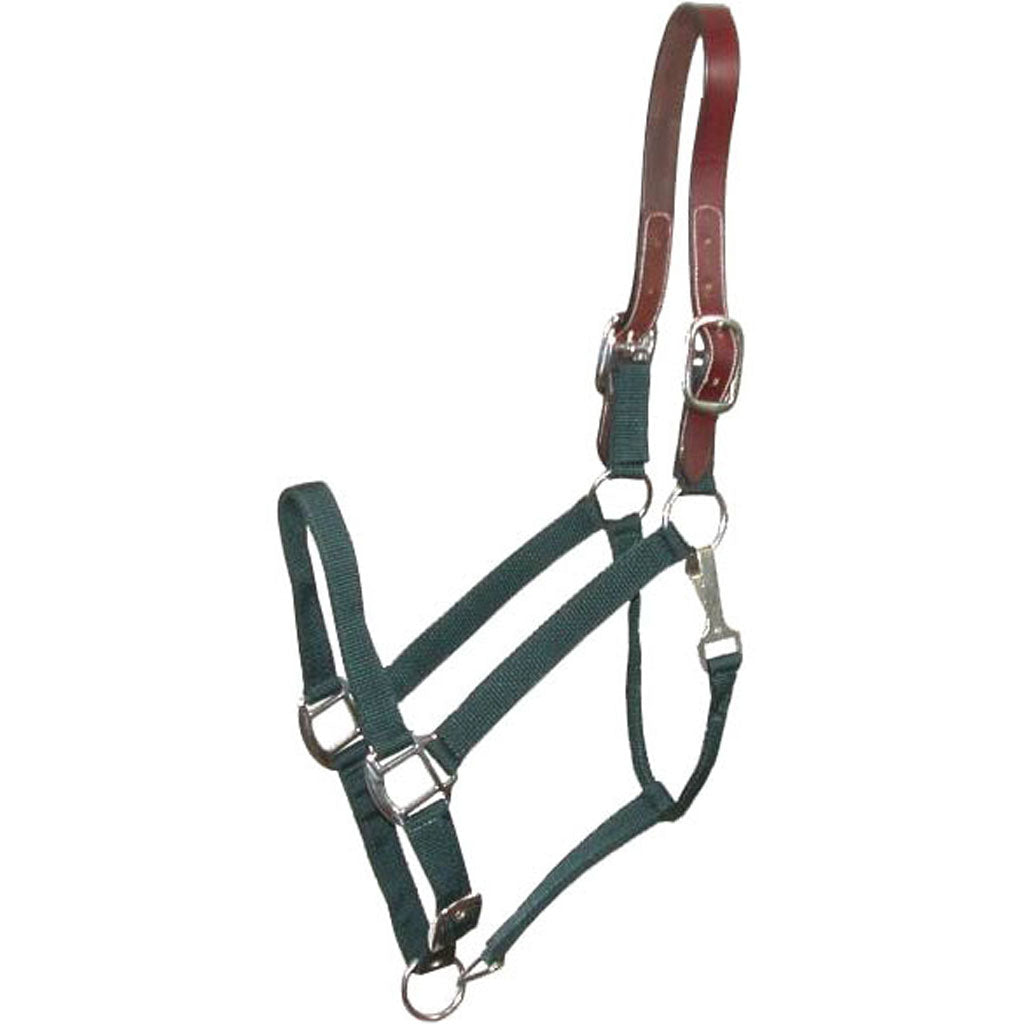 Gatsby Nylon Breakaway Halter (GREEN, COB)