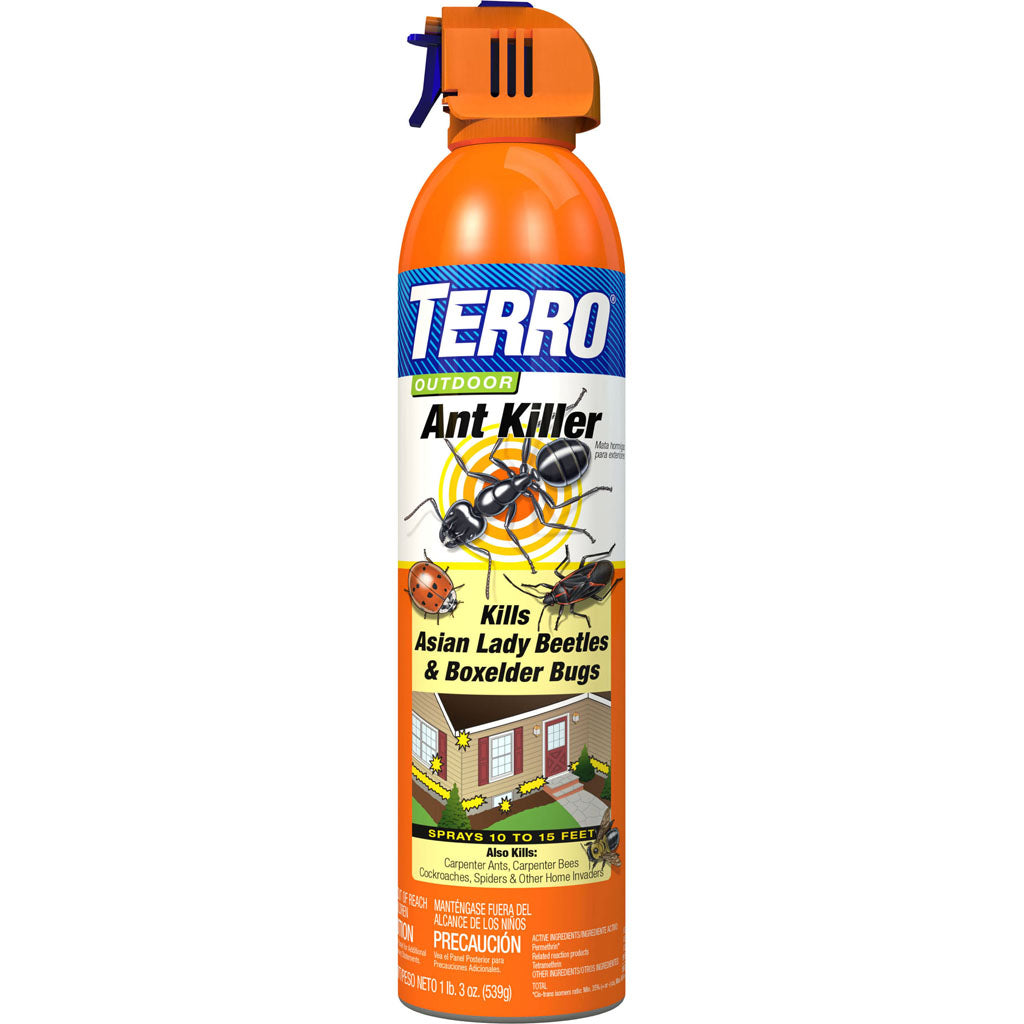 Terro Outdoor Ant Killer Aerosol Spray (19 OZ)