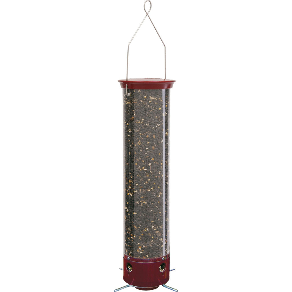 Yankee Dipper Squirrel Proof Feeder (5 LB CAP)