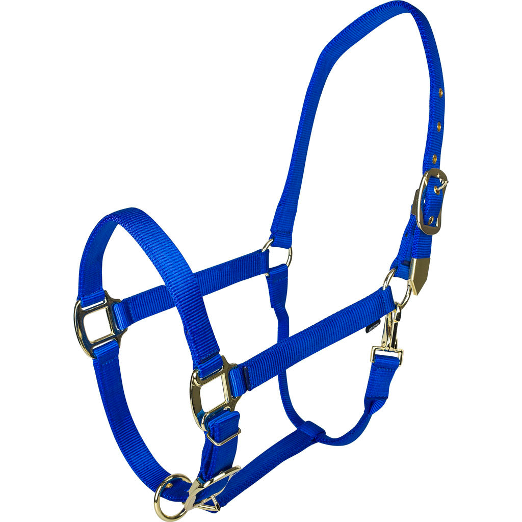 Gatsby Gold Adjustable Halter W/ Snap (BLUE, OVERSIZE)