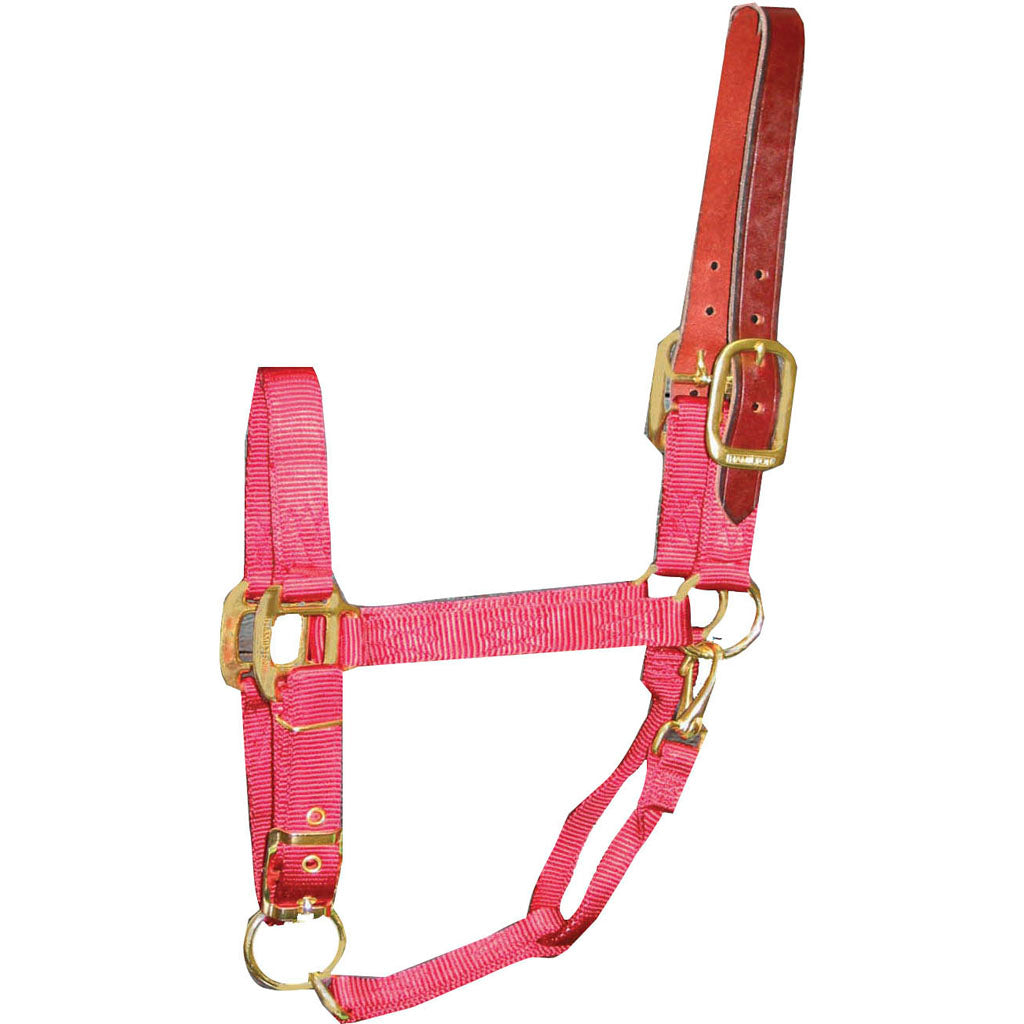 Hamilton Adjustable Halter W/Leather Headpole (RED, LG)