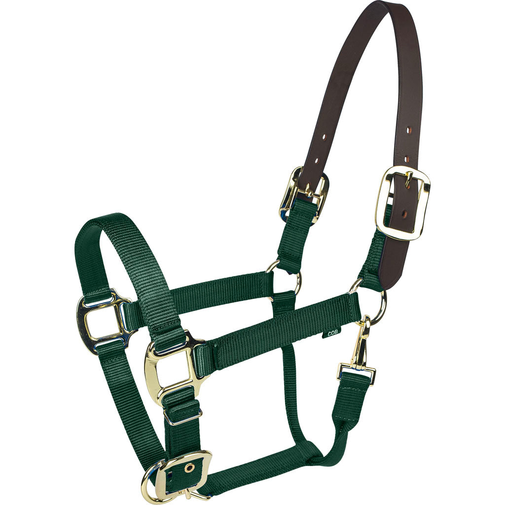 Gatsby Gold Nylon Breakaway Halter (HUNTER GREEN, PONY)