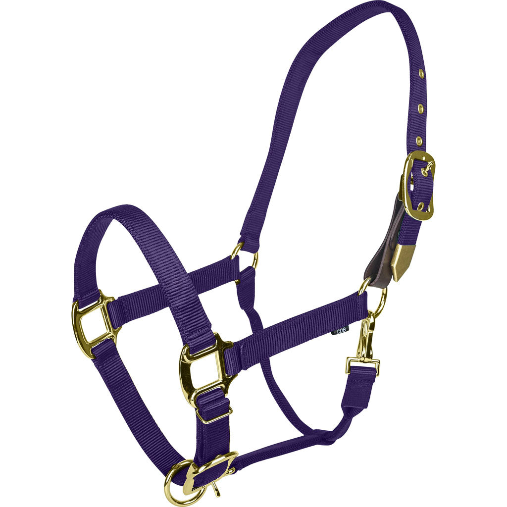 Gatsby Gold Adjustable Safety Breakaway Halter (PURPLE, HORSE)