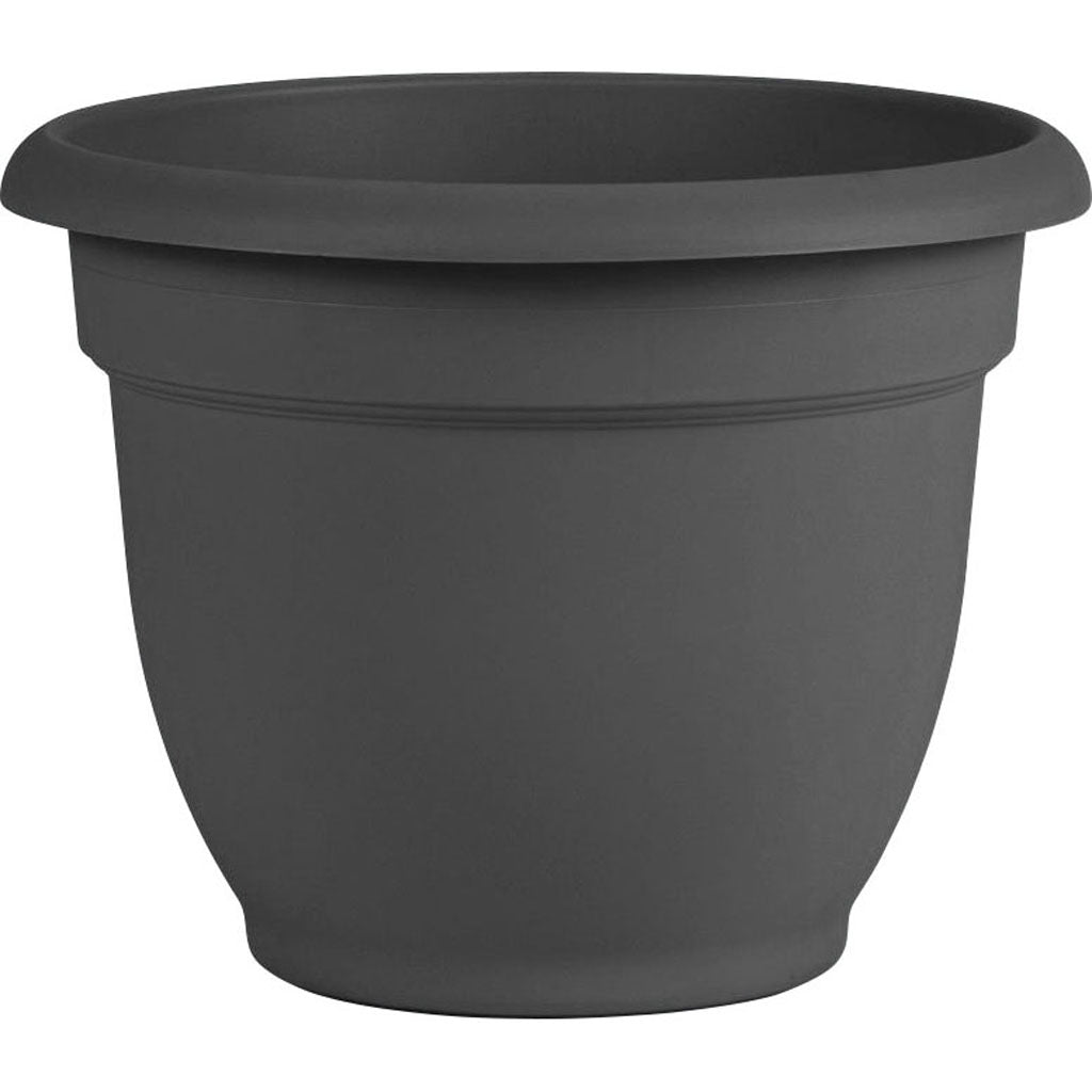 Bloem Ariana Planter (CHARCOAL, 6 IN)