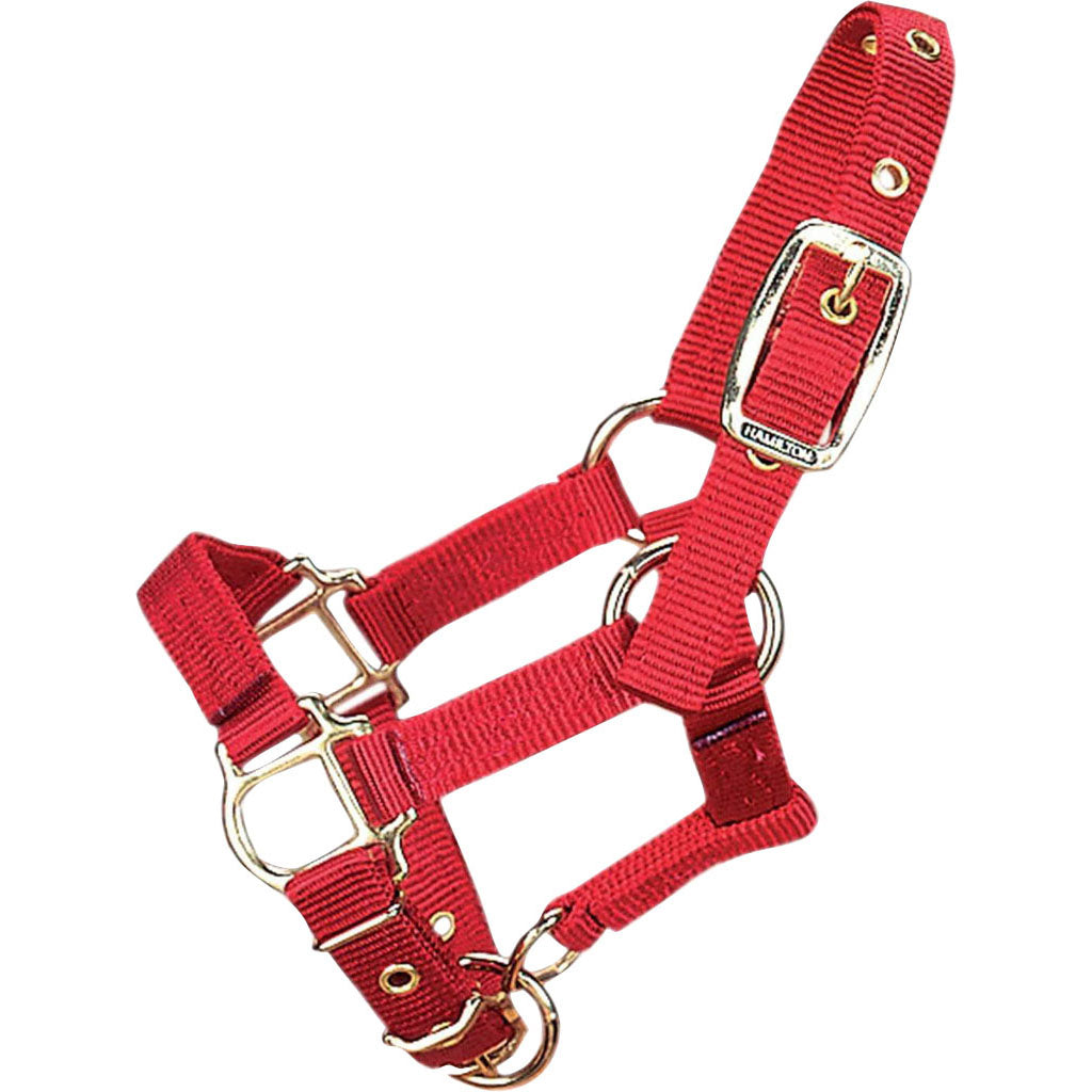 Hamilton Adjustable Miniature Horse Halter (RED, AVG)