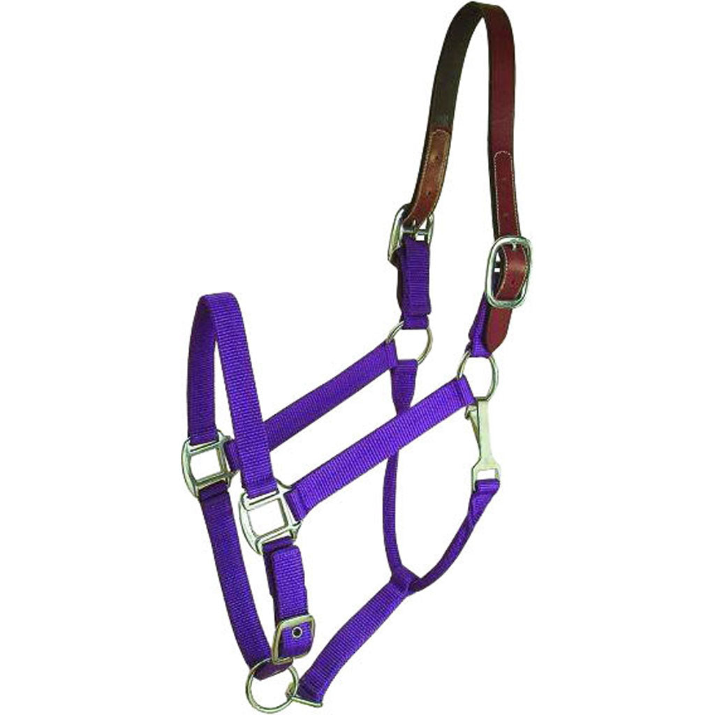 Gatsby Nylon Breakaway Halter (PURPLE, HORSE)