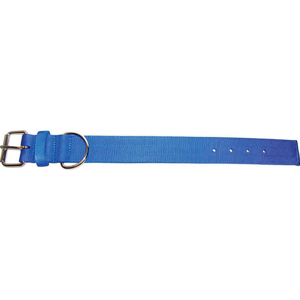 Bravo 2 Ply Nylon Dog Collar (BLUE, 2 X 21 IN)