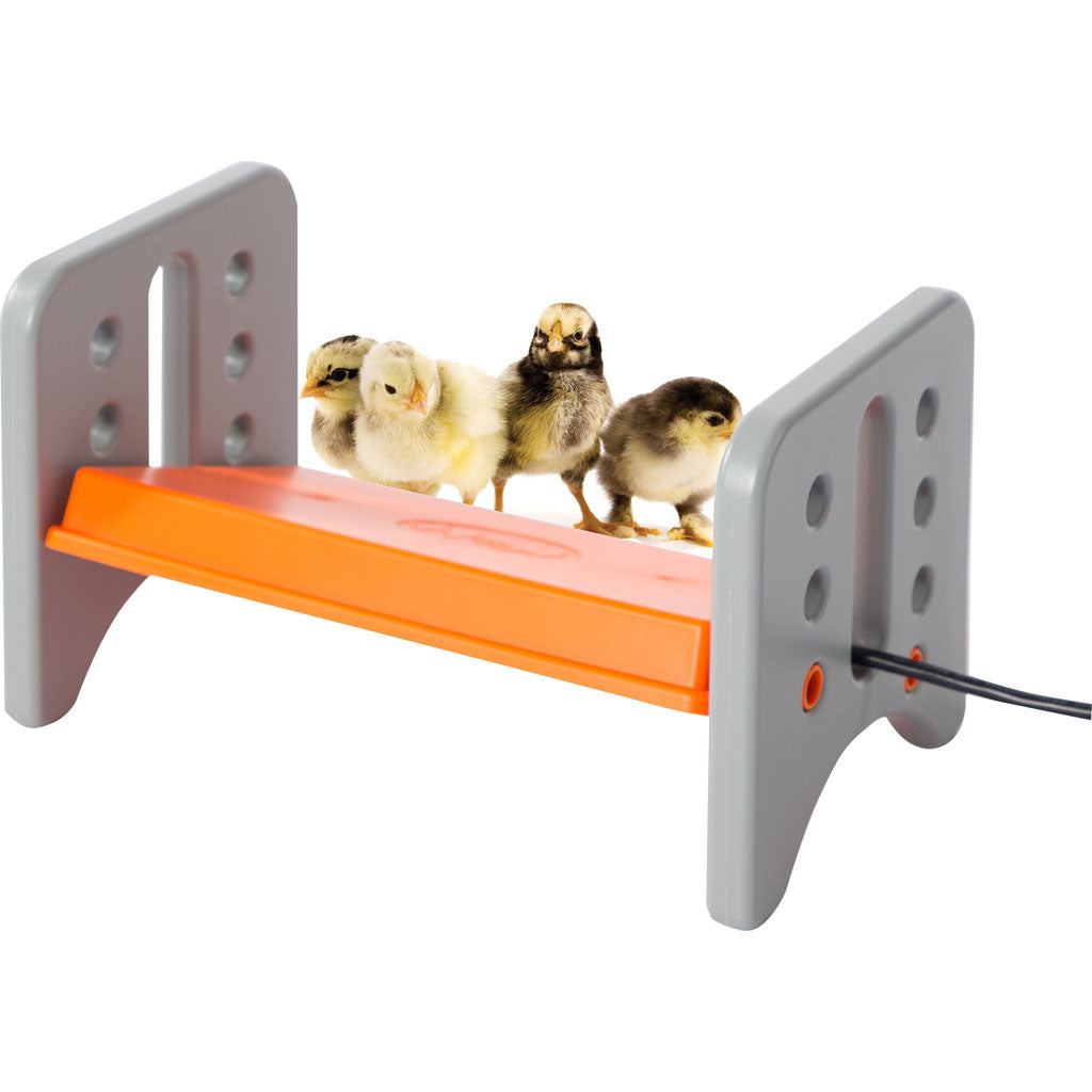 K&H Thermo Poultry Brooder (25 WATT)