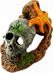 Exotic Environments Skull W/Starfish (SM)