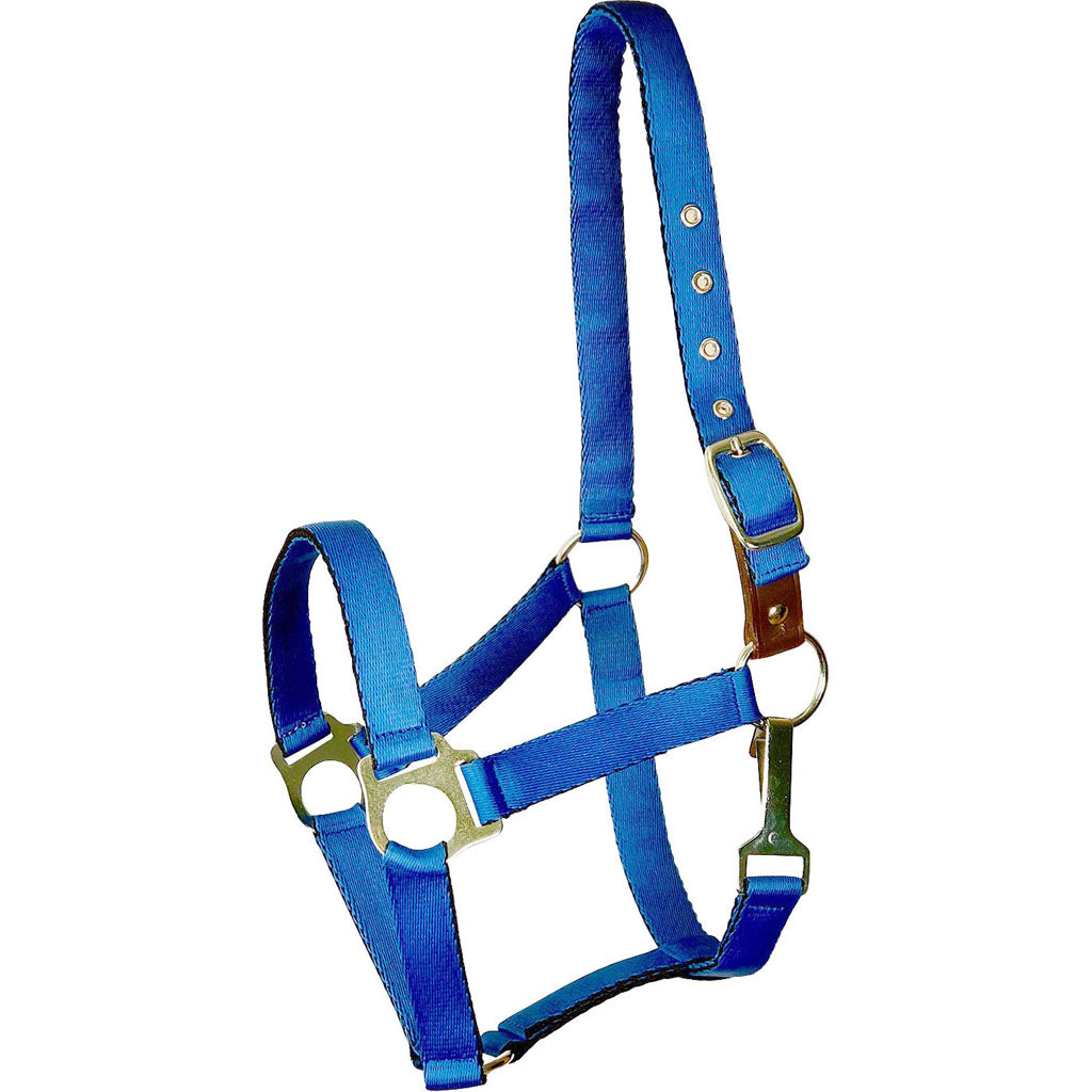 Gatsby Ultra Soft Nylon Safety Halter (ROYAL BLUE, HORSE)