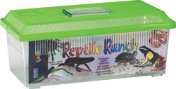Reptile Ranch Rectangle (SM)