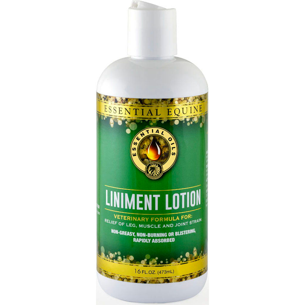 Essential Equine Liniment Lotion (16 OZ)