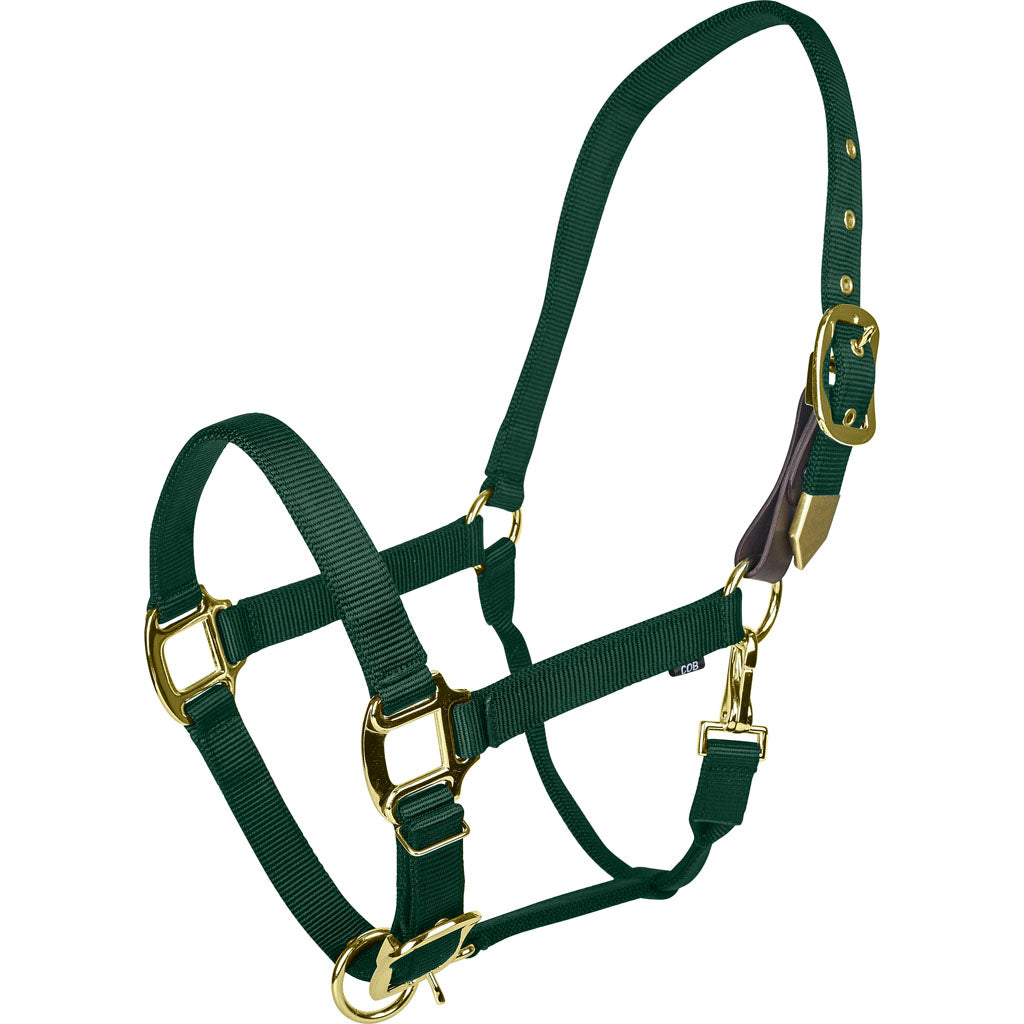 Gatsby Gold Adjustable Safety Breakaway Halter (HUNTER GREEN, HORSE)