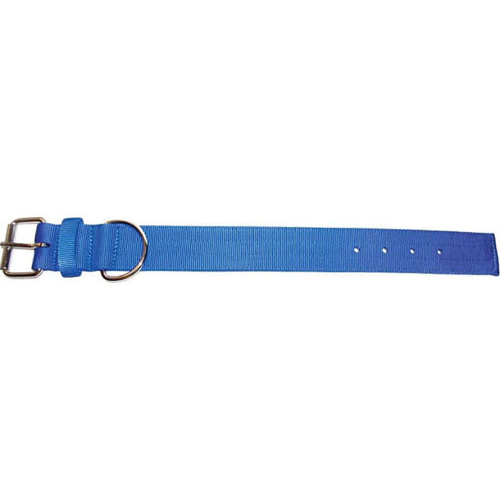 Bravo 2 Ply Nylon Dog Collar (BLUE, 2 X 27 IN)