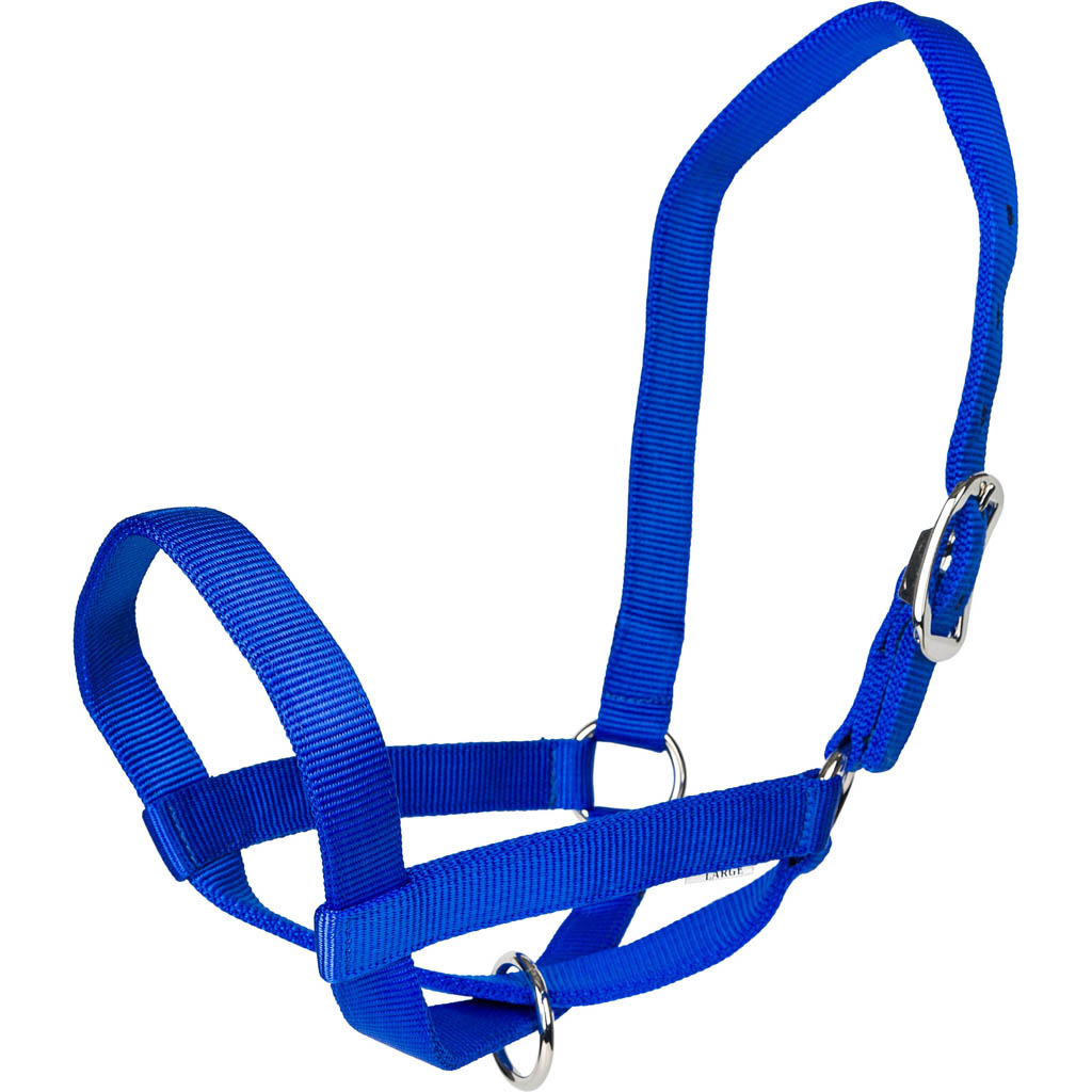 Gatsby Nylon Cattle Halter (BLUE, SM)