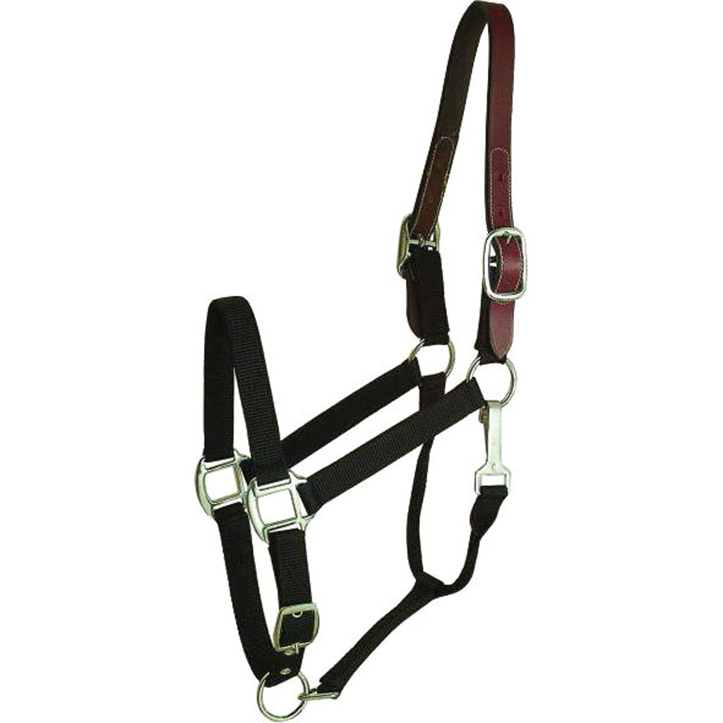 Gatsby Nylon Breakaway Halter (BLACK, OVERSIZE)