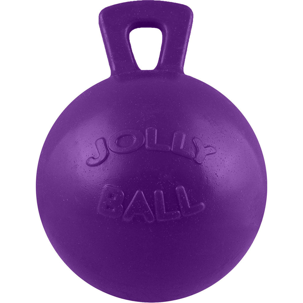 Horsemen'S Pride Jolly Ball (PURPLE, 10 IN)
