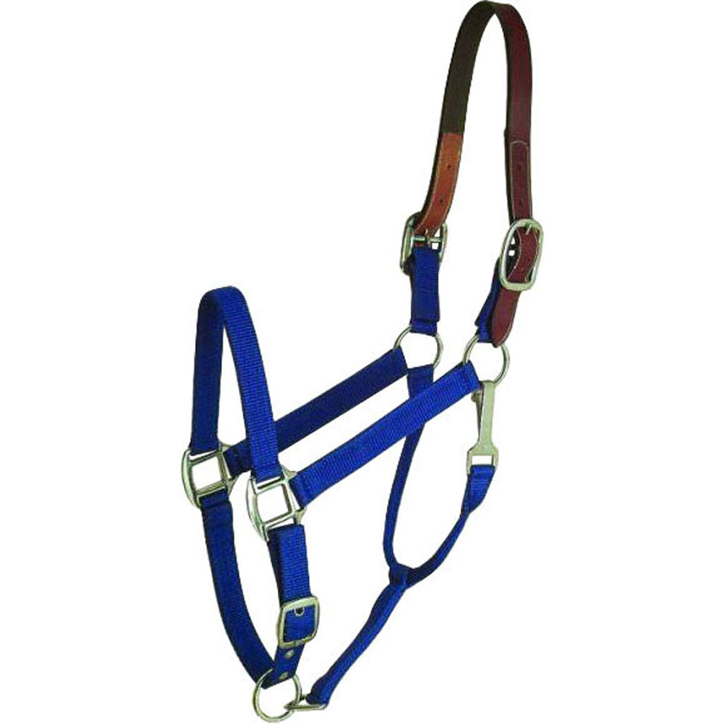 Gatsby Nylon Breakaway Halter (BLUE, COB)