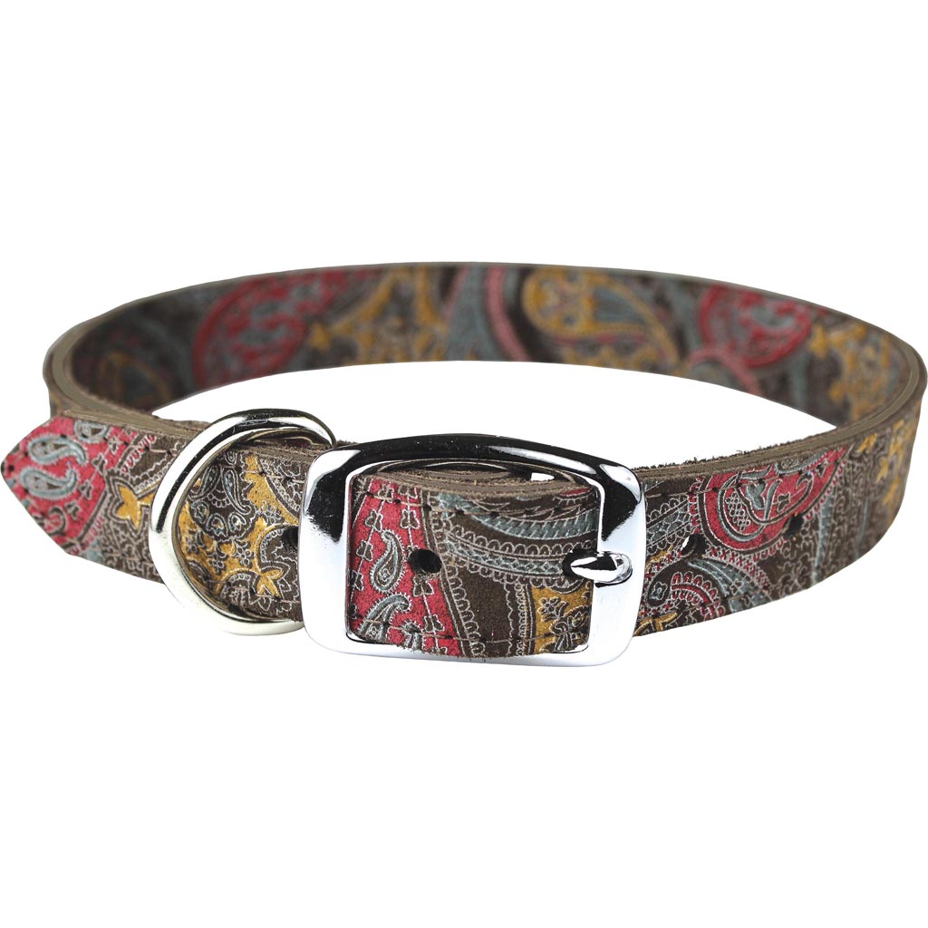 Leather Paisley Dog Collar (CHOCOLATE, 3/4X18IN)