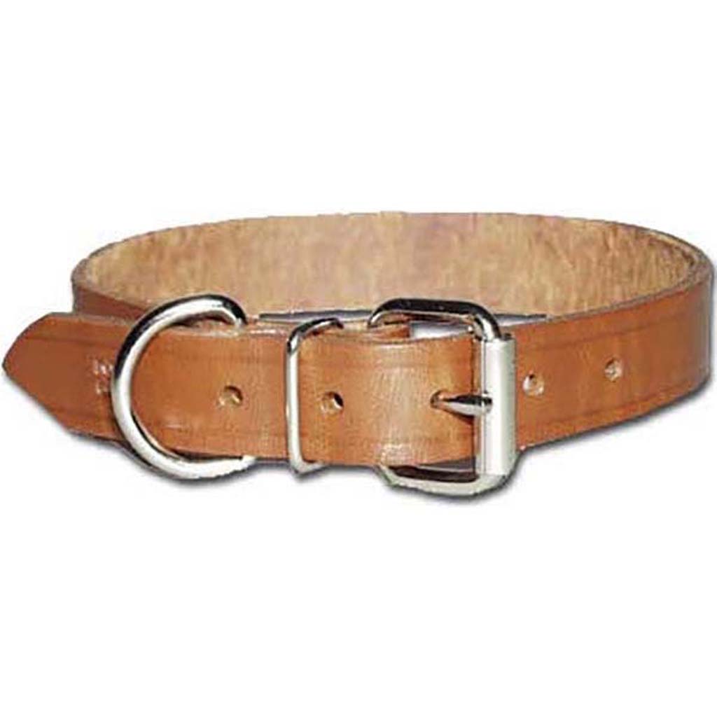 Omnipet Regular Bully Leather Collar (BROWN, 1 X 23 IN)