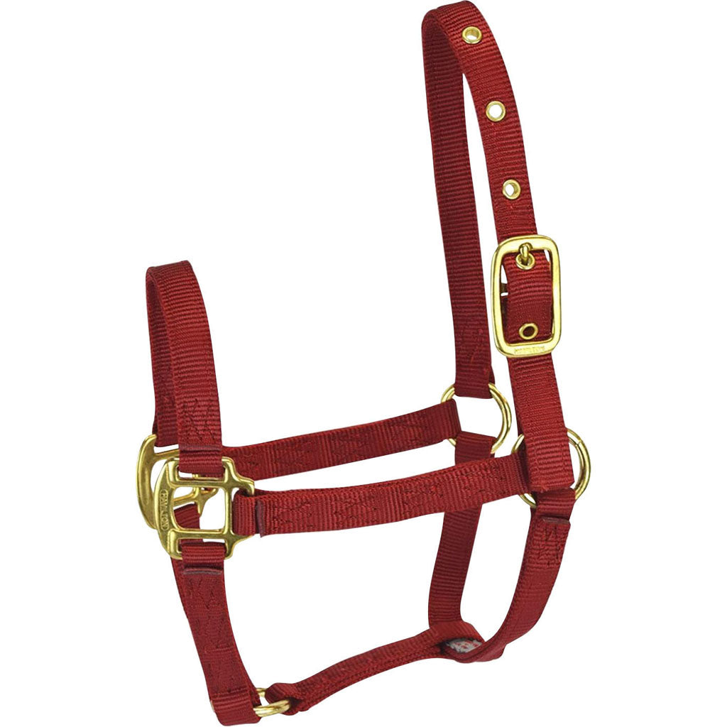 Hamilton Adjustable Chin Halter W/Snap (RED, FOAL)