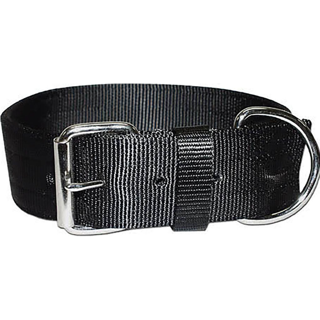 Bravo 2 Ply Nylon Dog Collar (BLACK, 2 X 29 IN)