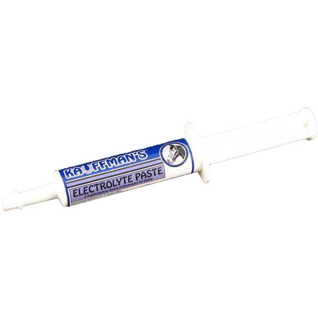 Kauffman'S Electrolyte Paste (35 GM)