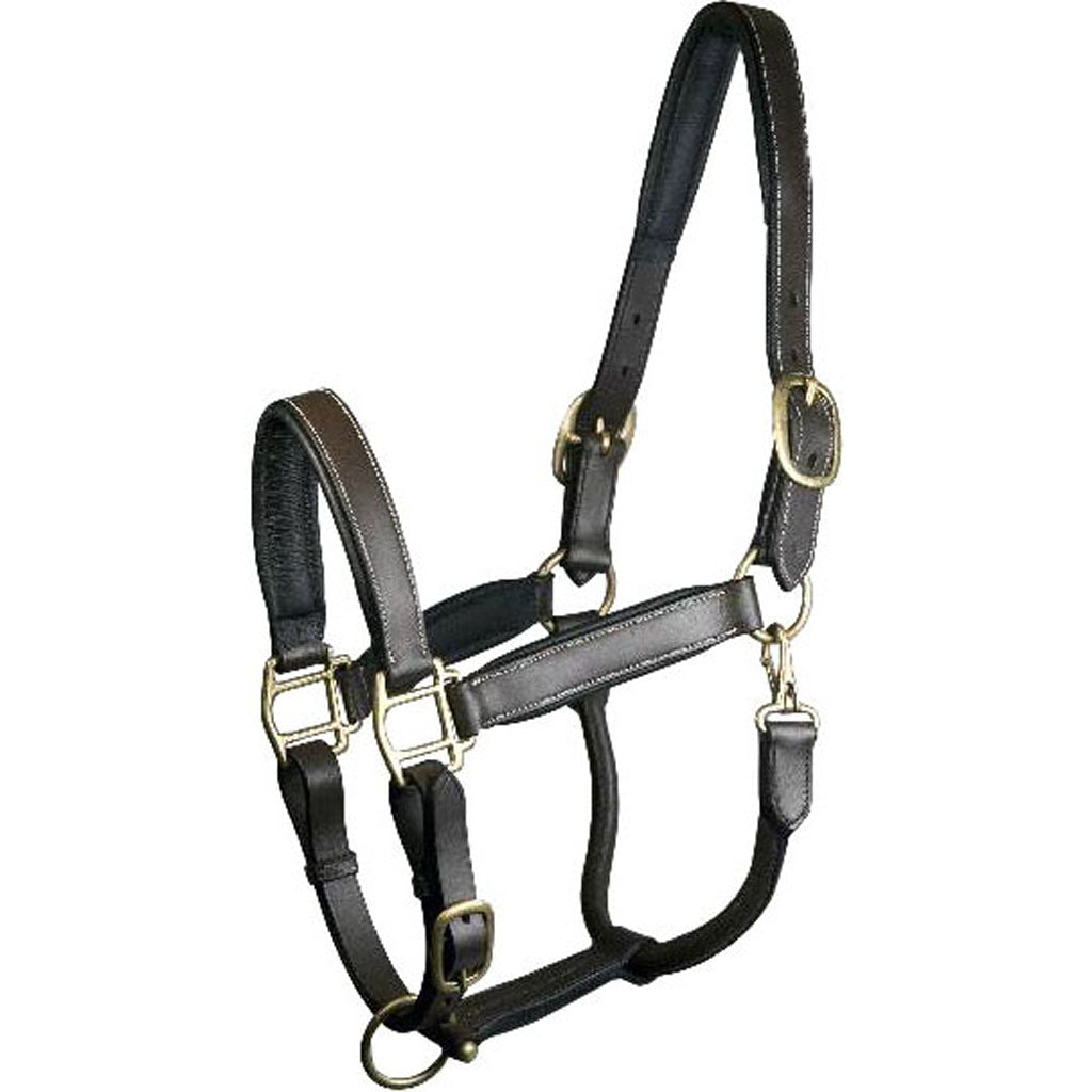 Gatsby Adjustable Padded Leather Halter (HAVANA, COB)