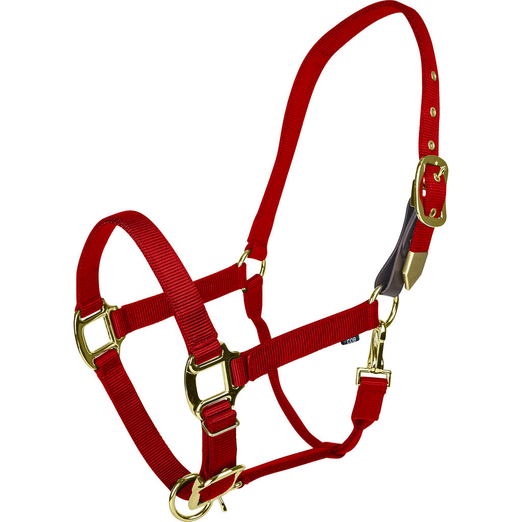 Gatsby Gold Adjustable Safety Breakaway Halter (RED, PONY)