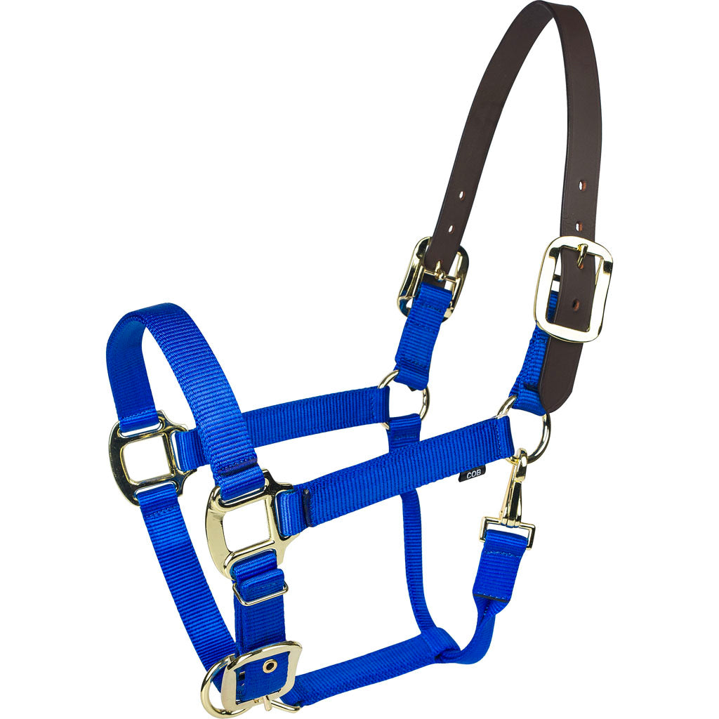 Gatsby Gold Nylon Breakaway Halter (BLUE, COB)