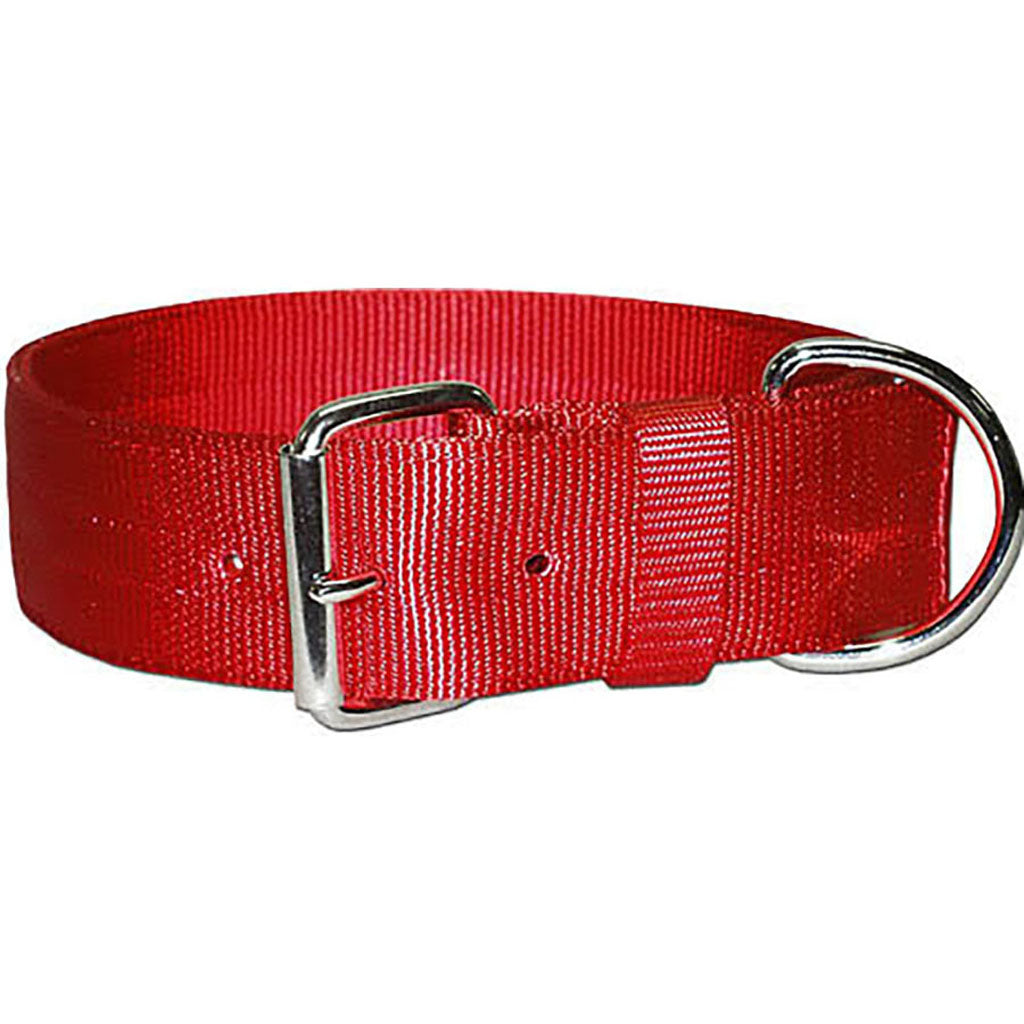 Bravo 2 Ply Nylon Dog Collar (RED, 2 X 23 IN)