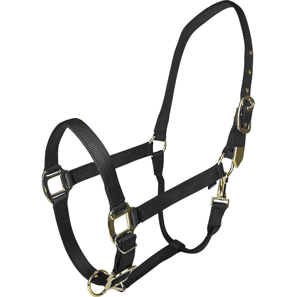 Gatsby Gold Adjustable Halter W/ Snap (BLACK, PONY)