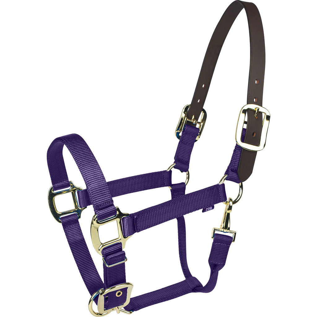 Gatsby Gold Nylon Breakaway Halter (PURPLE, COB)