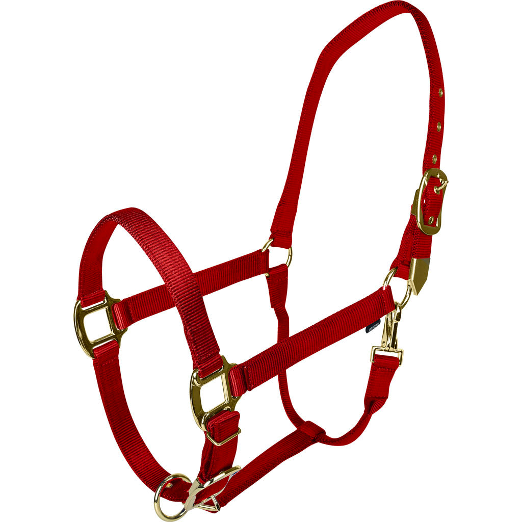 Gatsby Gold Adjustable Halter W/ Snap (RED, HORSE)