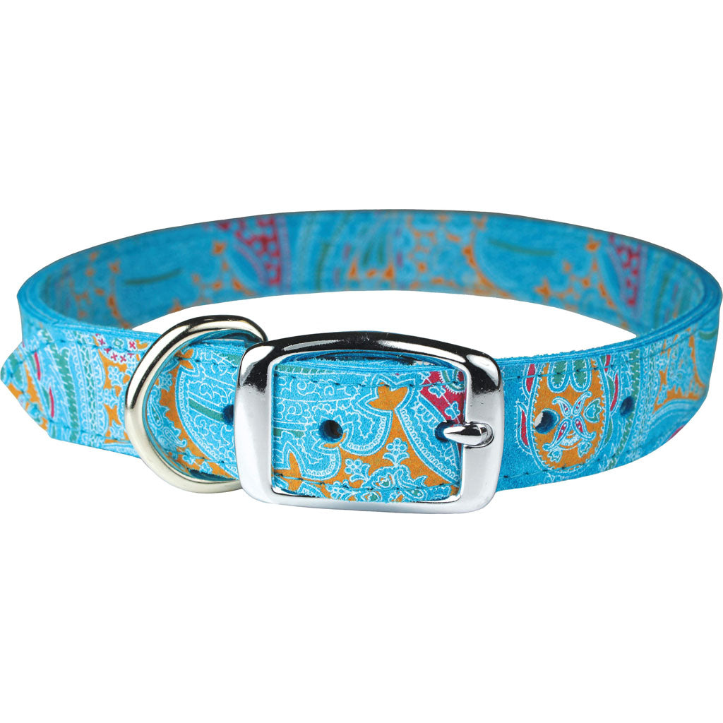 Leather Paisley Dog Collar (TURQUOISE, 1/2X14IN)
