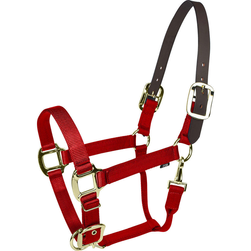 Gatsby Gold Nylon Breakaway Halter (RED, PONY)