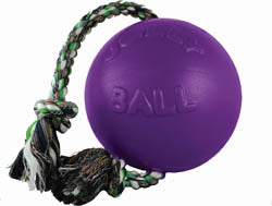 Jolly Pets Romp-N-Roll Ball (PURPLE, SM)