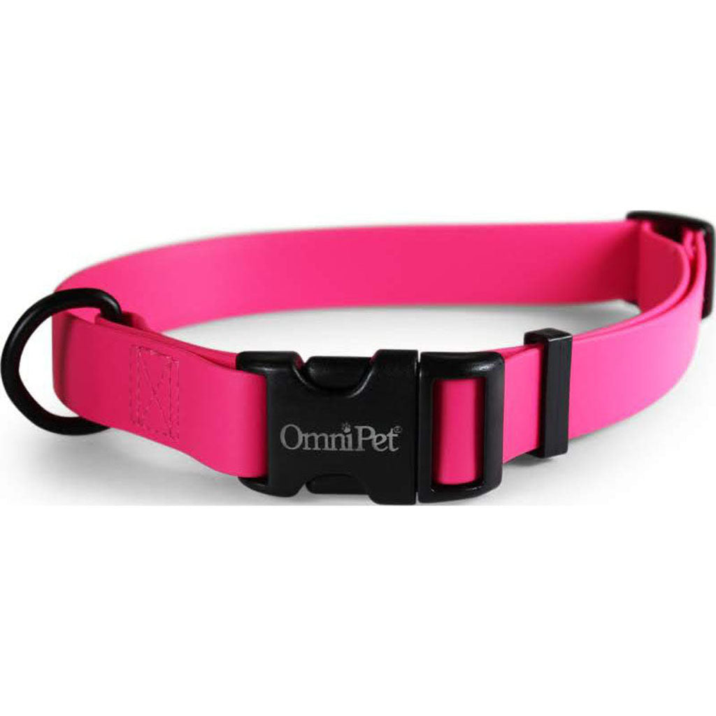 Carnival Biothane Dog Collar (RUBY, 1 X 18 X 26 IN)