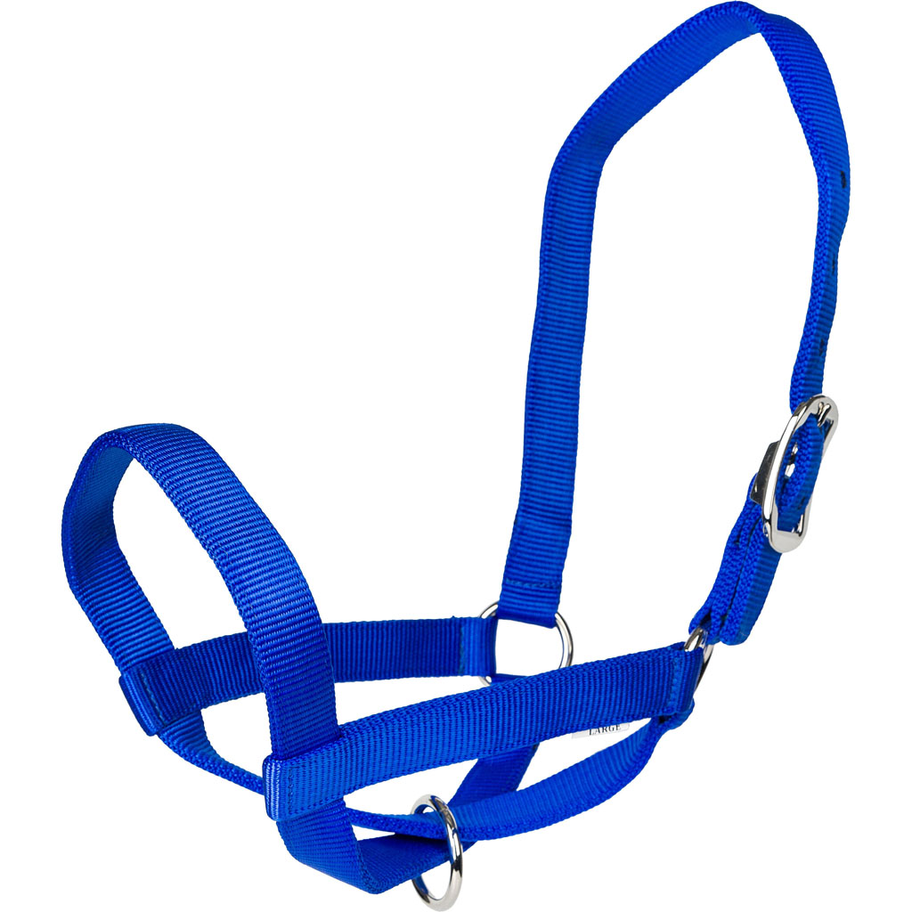 Gatsby Nylon Cattle Halter (BLUE, LG)