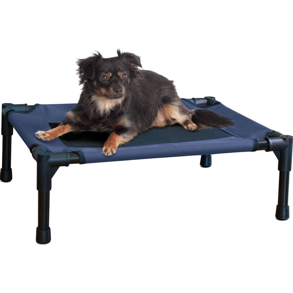 Creative Solutions Elevated Pet Bed (BLUE, SM-17INX22 IN)