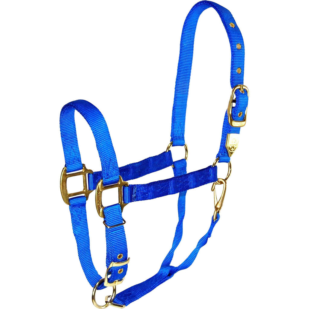 Hamilton Adjustable Chin Halter W/Snap (BLUE, LG)