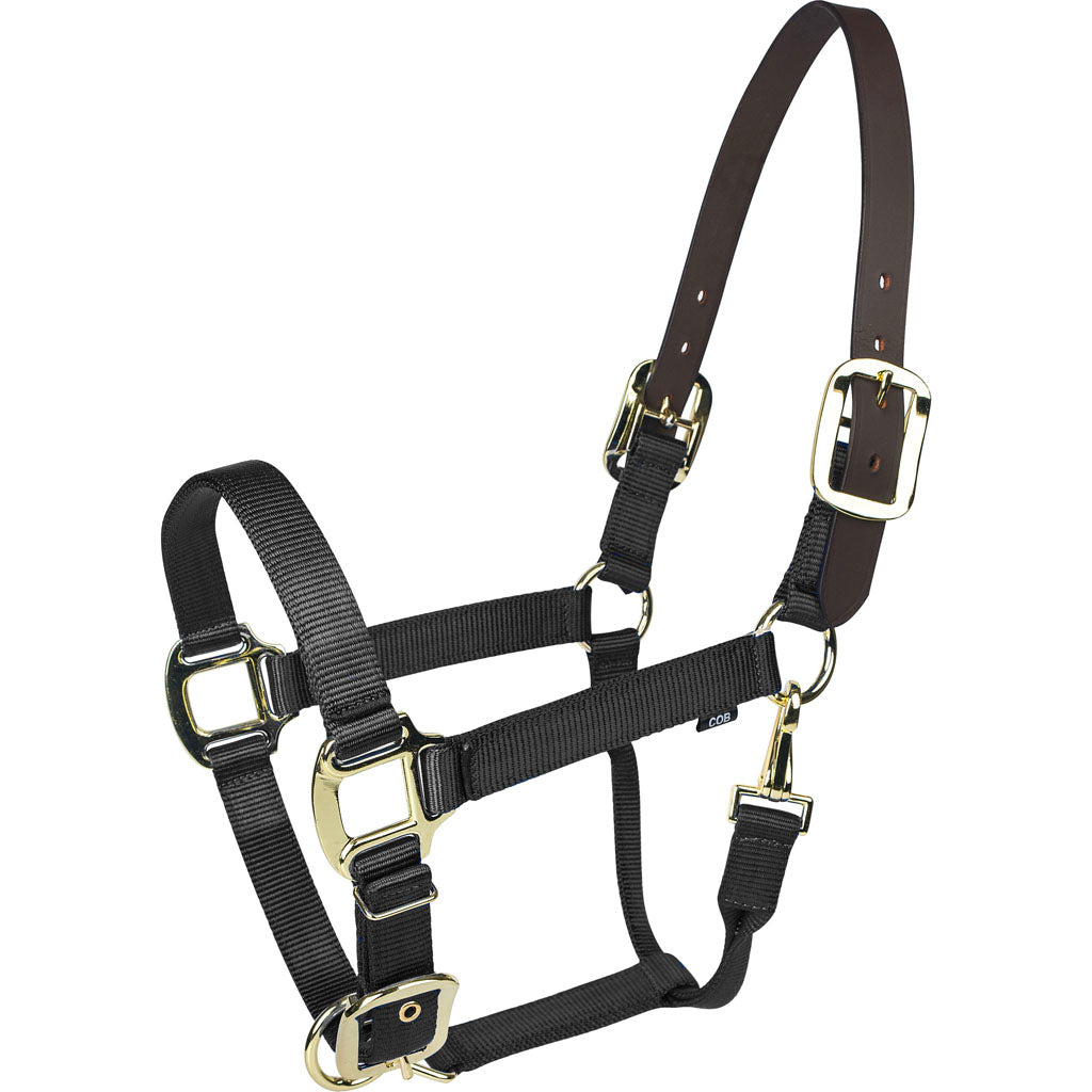 Gatsby Gold Nylon Breakaway Halter (BLACK, PONY)