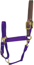 Hamilton Adjustable Halter W/Leather Headpole (PURPLE, AVG)