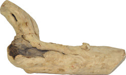 Java Wood Reptile Branch (MD)