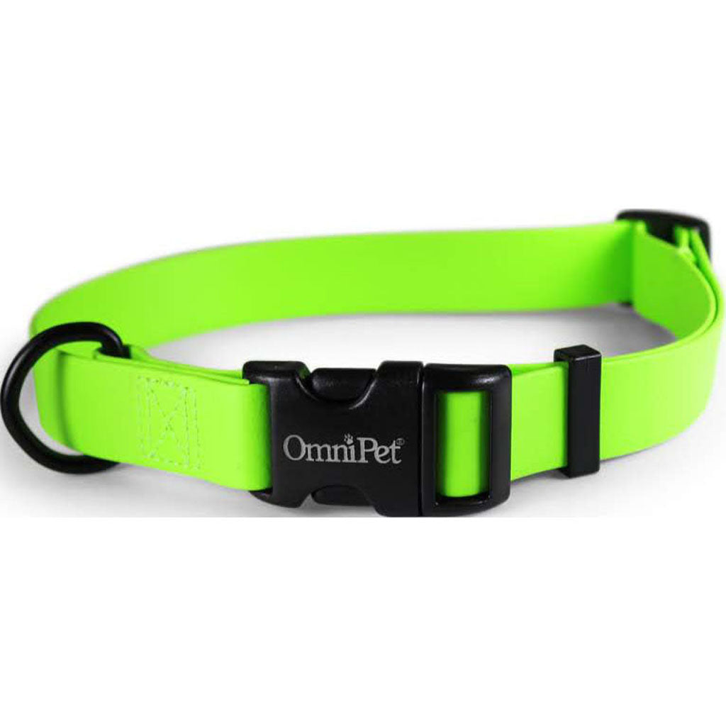 Carnival Biothane Dog Collar (LIME GREEN, 3/4 X 14 X 20 I)