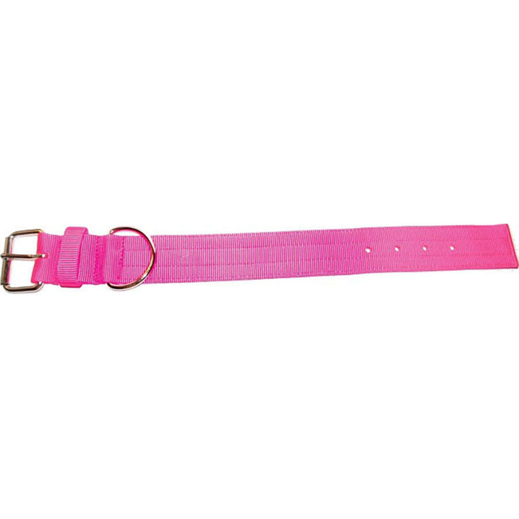 Bravo 2 Ply Nylon Dog Collar (NEON PINK, 2 X 25 IN)