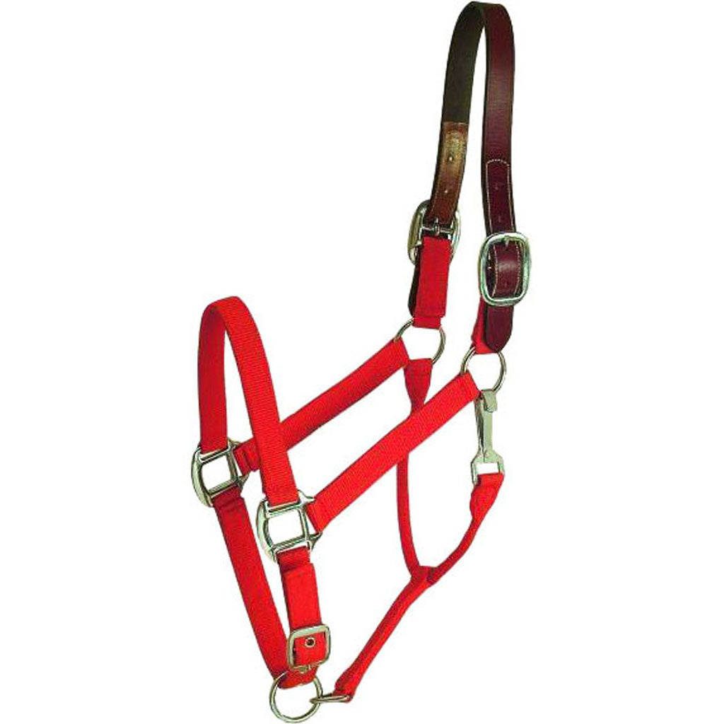 Gatsby Nylon Breakaway Halter (RED, OVERSIZE)