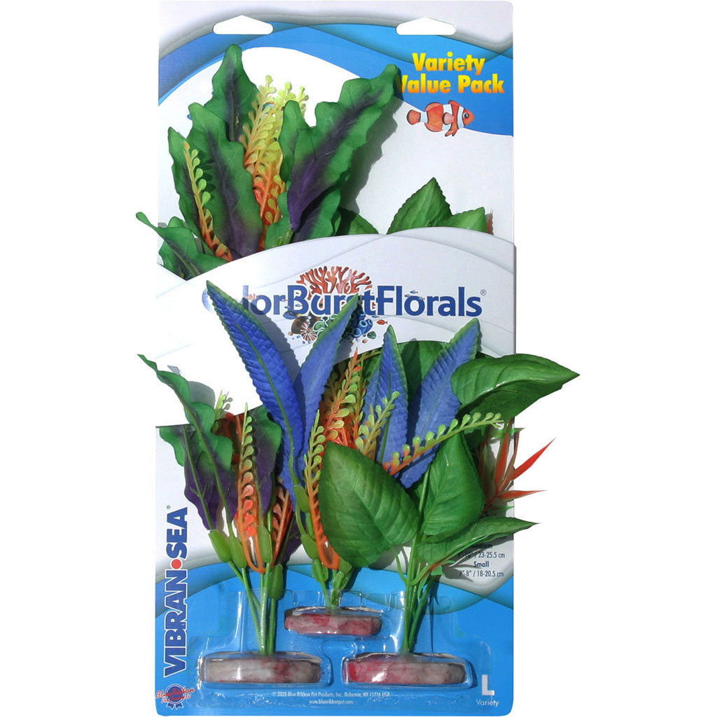 Color Burst Florals Plant Variety Pack (MULTI, LG)