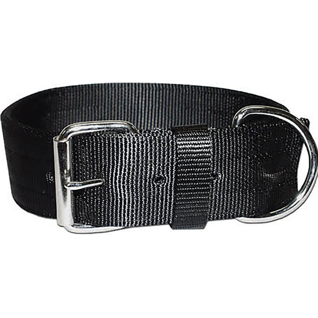 Bravo 2 Ply Nylon Dog Collar (BLACK, 2 X 25 IN)